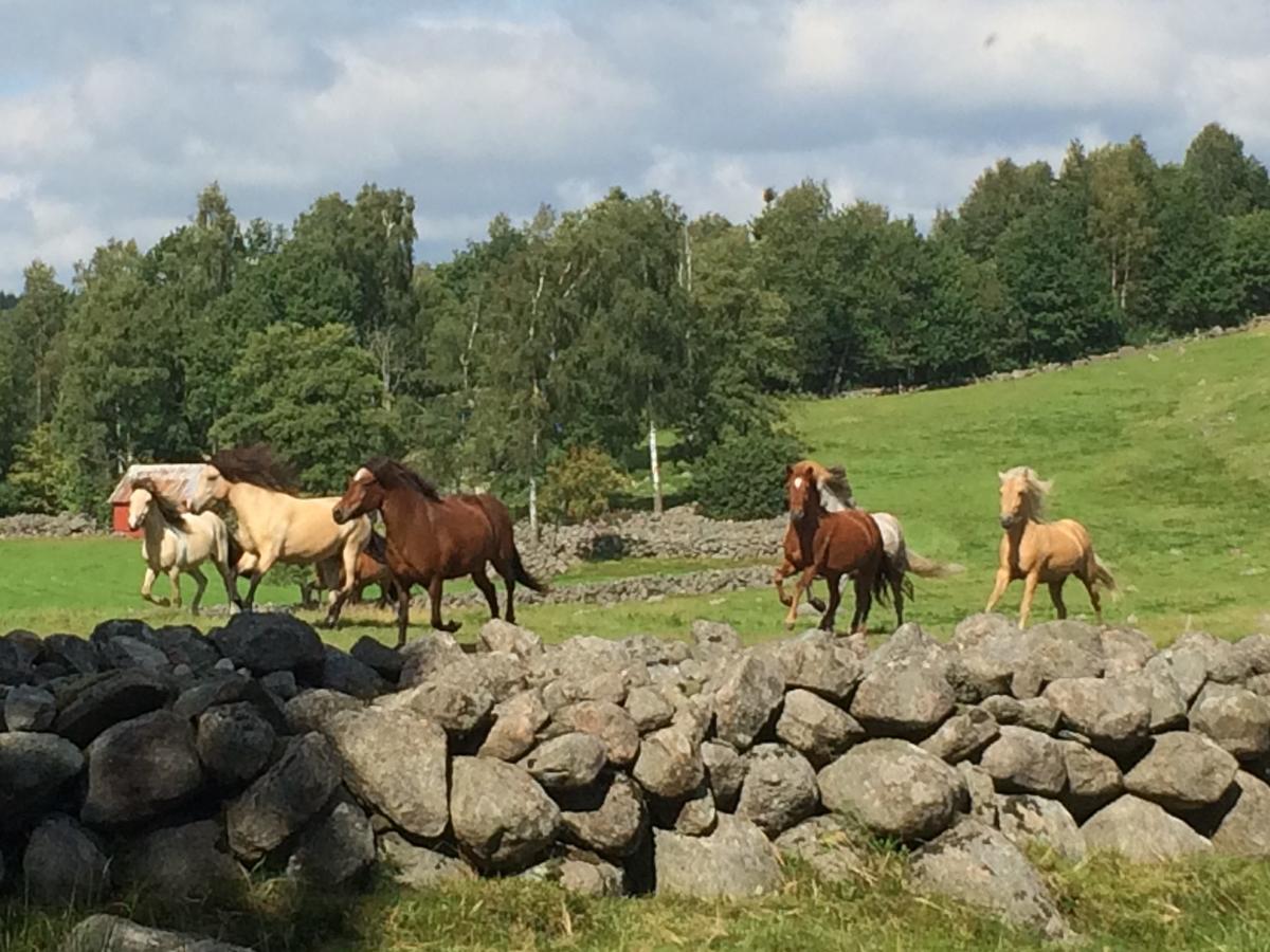 Tuvagard B&B Vindhaestar Langas Eksteriør bilde